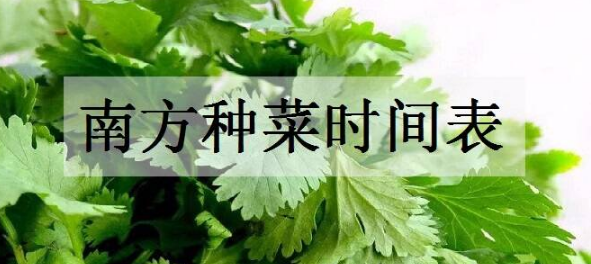 南方1一12月种蔬菜表