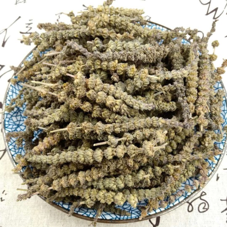 荆芥为什么叫猫薄荷呢？有什么药用价值？